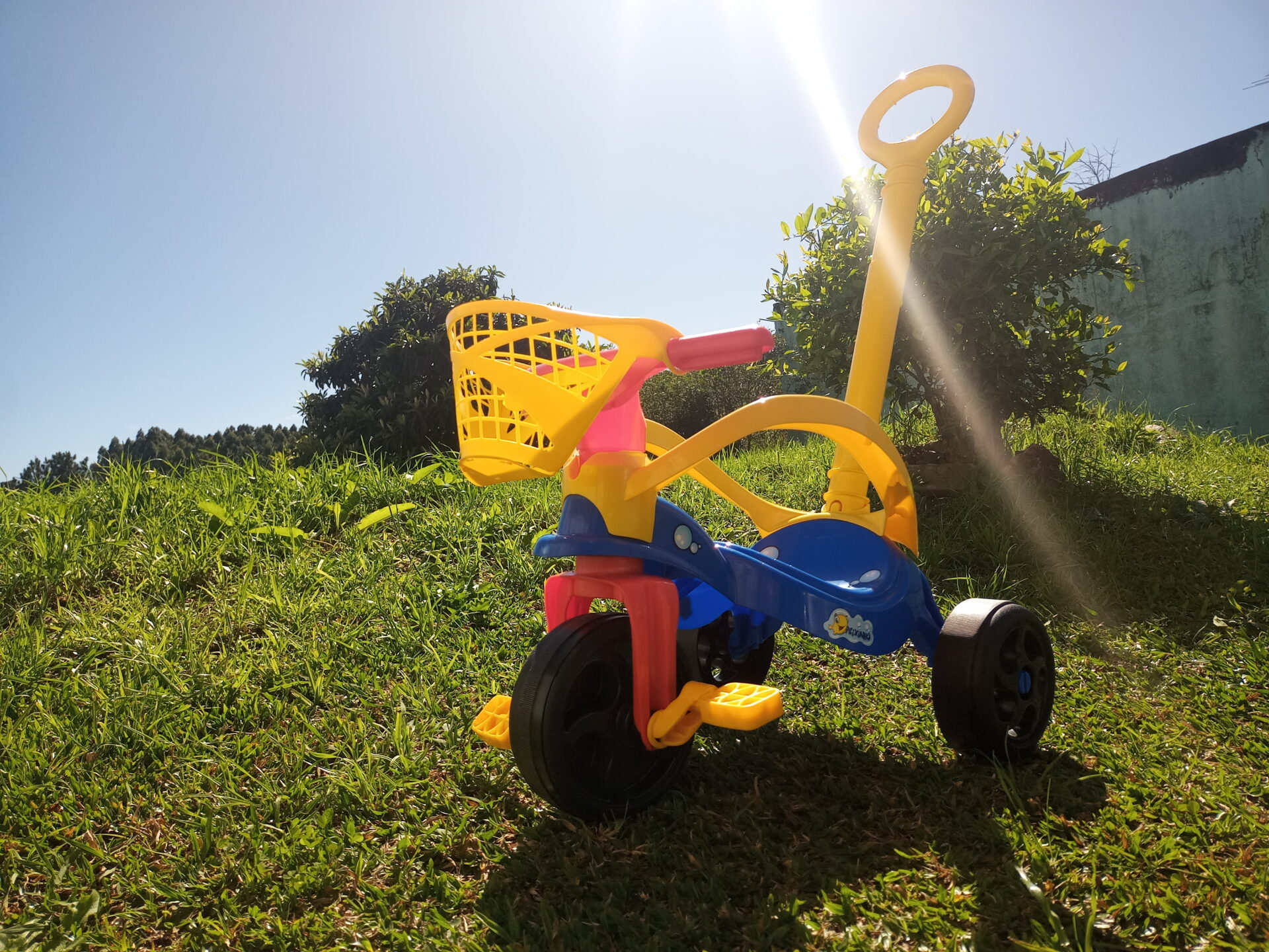 Triciclo Motoca Infantil Zoológico Com Haste Tchuco Samba Toys