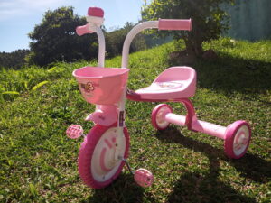 Triciclo Motoca Infantil Menina You Girl Rosa Aro 5 Nathor