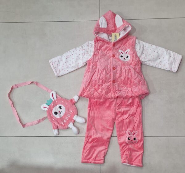 Conjunto 3 Peças Grosso - Calça , Colete e Casaco , Coelho Rosa Claro Tamanho 2 - Image 3