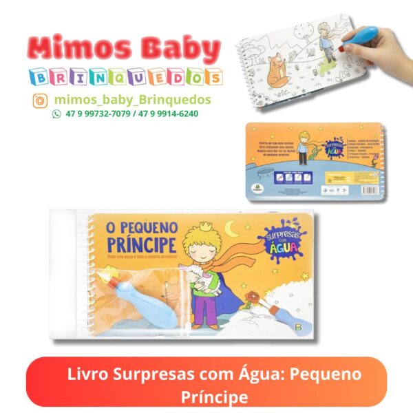 Livro Surpresas com Água: Pequeno Príncipe